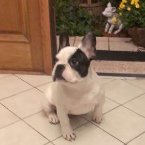 Meet your Posher, Juan